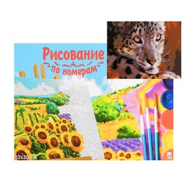 

Картина по номерам на холсте 22 × 30 см «Взгляд барса»