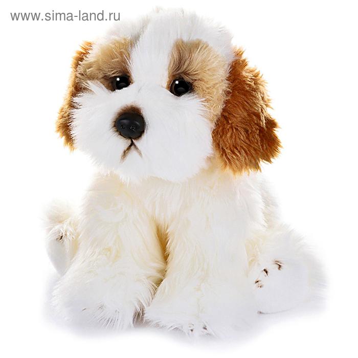 Мягкая игрушка «Собака Кавашон», 30 см игрушка мягкая собака пудель 30 см ассорти