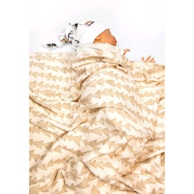 

Плед двухслойный Soft hugs, размер 85 × 95 см, лес