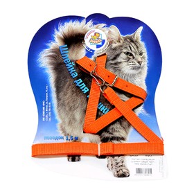 Комплект для кошек 'Зооник', ширина 1,4 см, ОШ 20-28 см, ОГ 38-43 см, микс цветов Ош