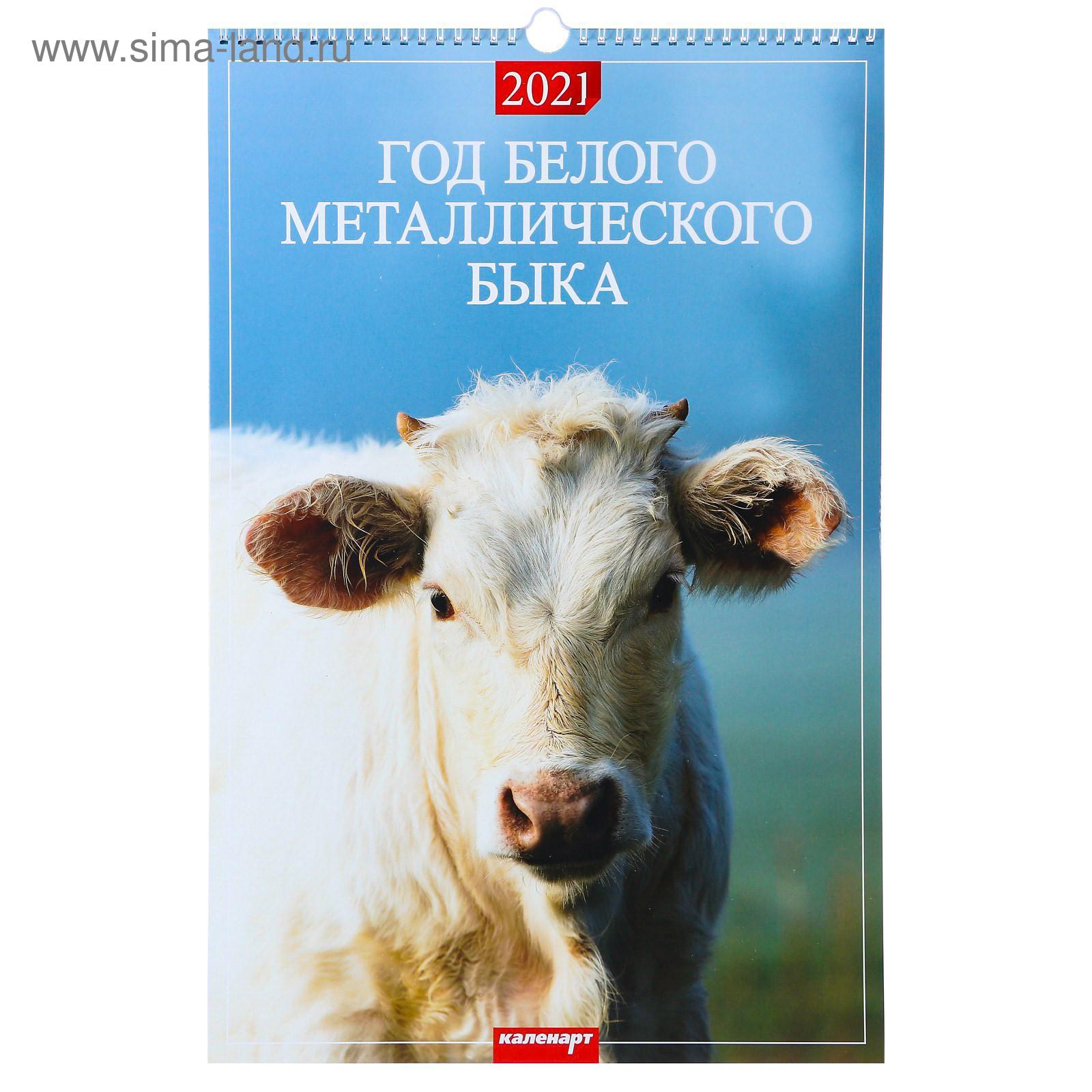 Календарь перекидной на ригеле "Год Белого Металлического Быка" 2021 год,  320х480 мм (5053185) - Купить по цене от 42.90 руб. | Интернет магазин  SIMA-LAND.RU
