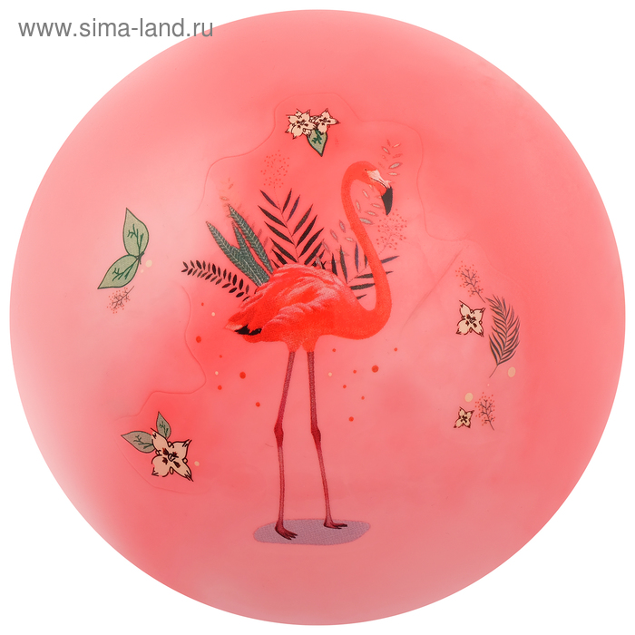 фото Мяч детский «фламинго», d=22 см, 60 г, цвета микс zabiaka