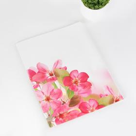 

Папка для семейных документов, 1 комплект, цвет белый/розовый