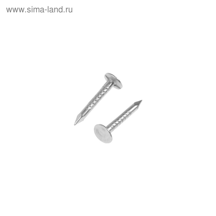 

Гвоздь 3х25 толевый евро, цинк, уп. 0,5 кг