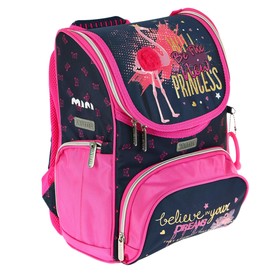 

Ранец Стандарт deVENTE Mini 35 х 26 х 20 см, Flamingo, синий/розовый