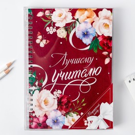 

Подарочный набор ежедневник и органайзер для ручек "Лучшему учителю бордо"