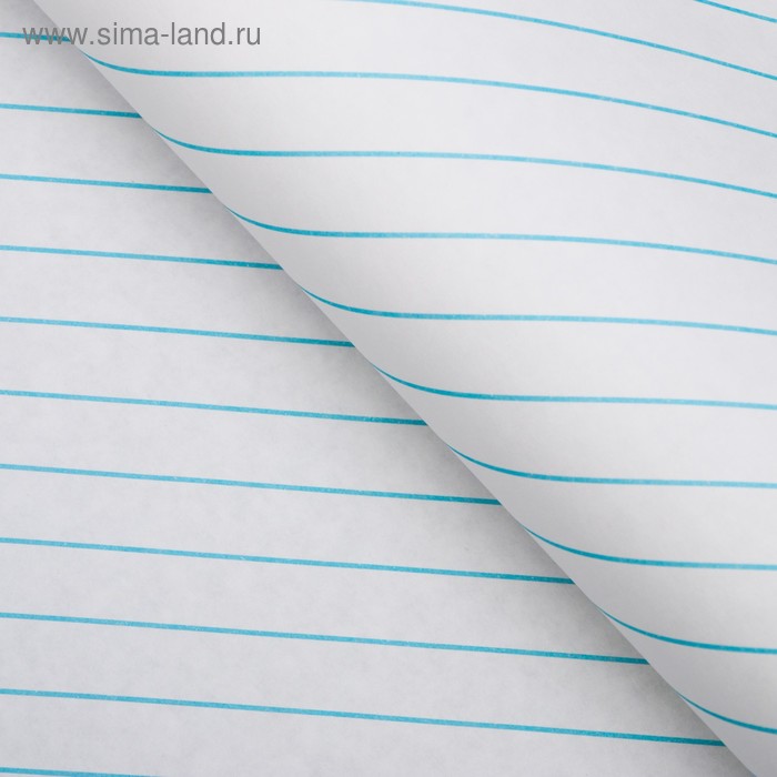 

Бумага упаковочная, "Люрекс", крафт, голубая, 50 х 70 см