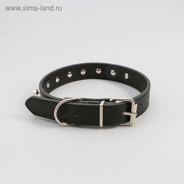

Ошейник "Лион" с шипами 50 х 2,5 см, искусственная кожа, чёрный