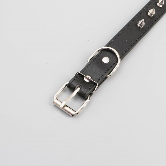 Ошейник "ЛИОН" с шипами чёрный 2,5х52 см