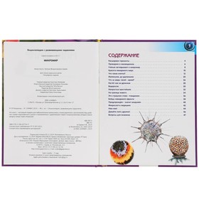 

Энциклопедия А4 «Микромир»