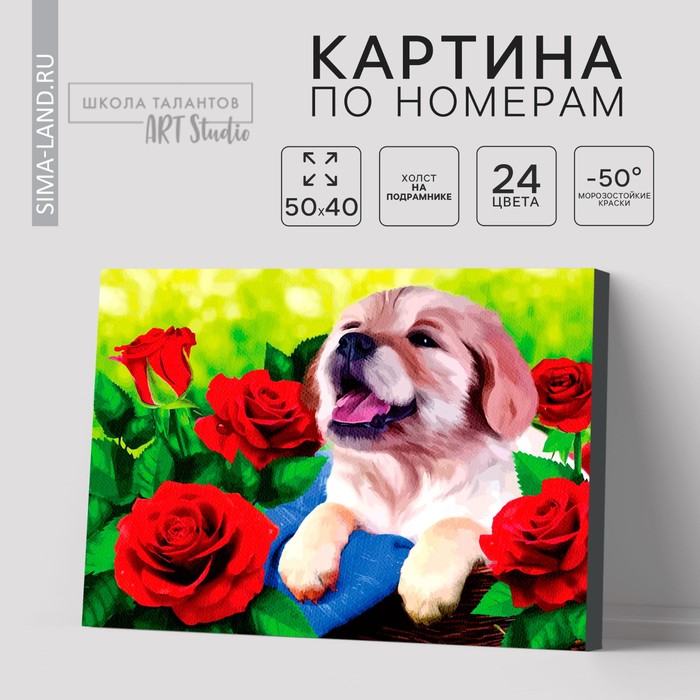 

Картина по номерам на холсте с подрамником «Щенок», 40 х 50 см