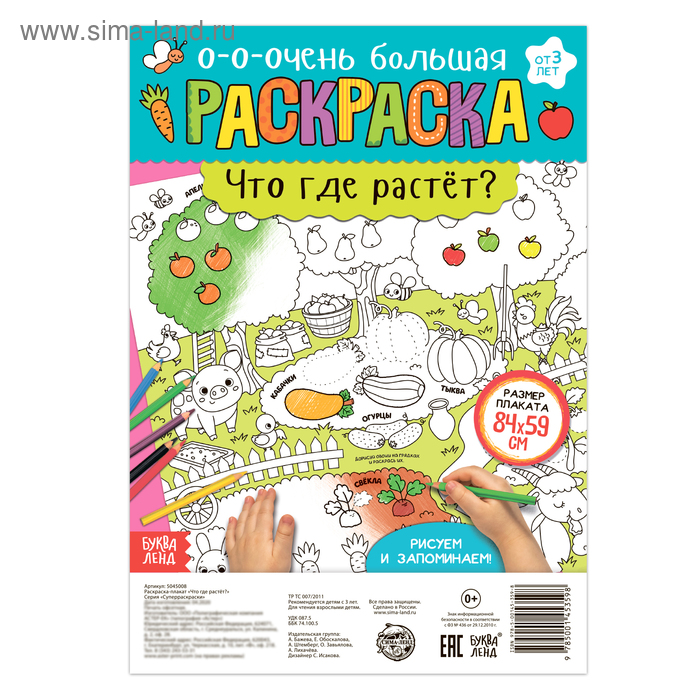 

Раскраска-гигант «Что где растёт»