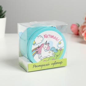 

Растущий сувенир "Мечтай" в банке