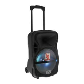 

Портативная караоке система MAX Q80, 15 Вт, FM, AUX, micro SD, USB, BT, Li-Ion 4400 мАч