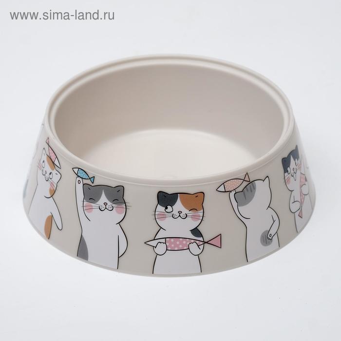 Миска «Мур-мяу» для кошек, светло-бежевый, 14,5 x 14,5 x 4 см, 0,3 л