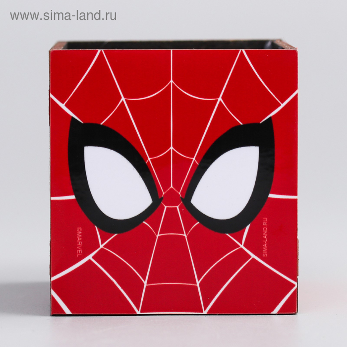 

Органайзер для канцелярии Spider-man, Человек-паук, 65 х 70 х 65 мм