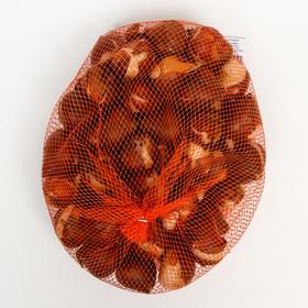 

Тюльпан "Йонина" 55см, р/р 11/12, сетка 50 шт
