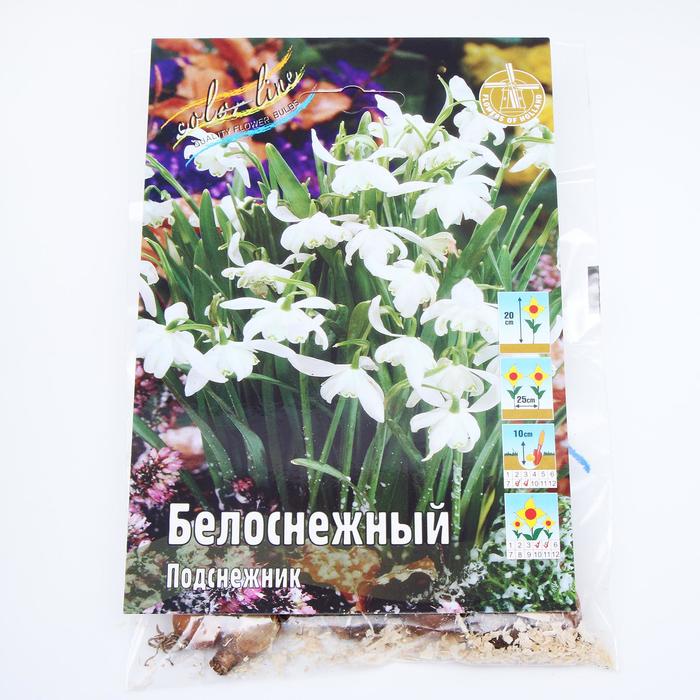 

Подснежник белоснежный 20см. р-р 5/6, 10 шт