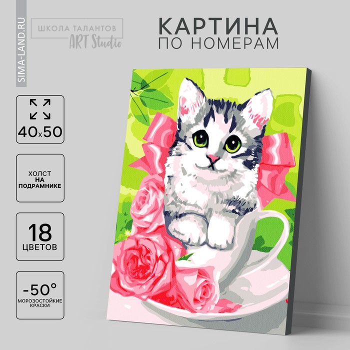 

Картина по номерам на холсте с подрамником «Котёнок в чашке», 40 х 50 см