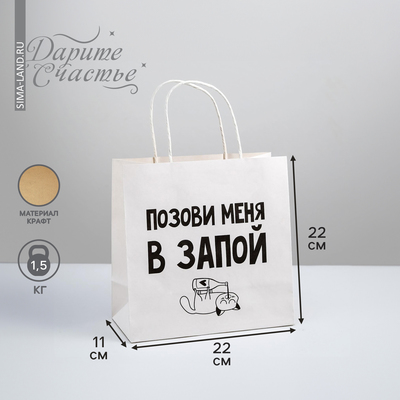 Пакет подарочный «Позови меня», 22 × 22 × 11 см