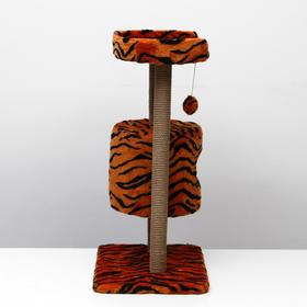 

Домик-когтеточка "Круглый с площадкой", 52 х 52 х 105 см, джут, тигр