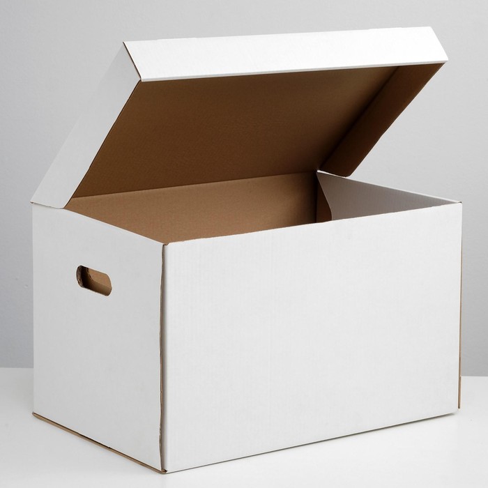 Коробка для хранения, белая, 48 х 32,5 х 29,5 см,