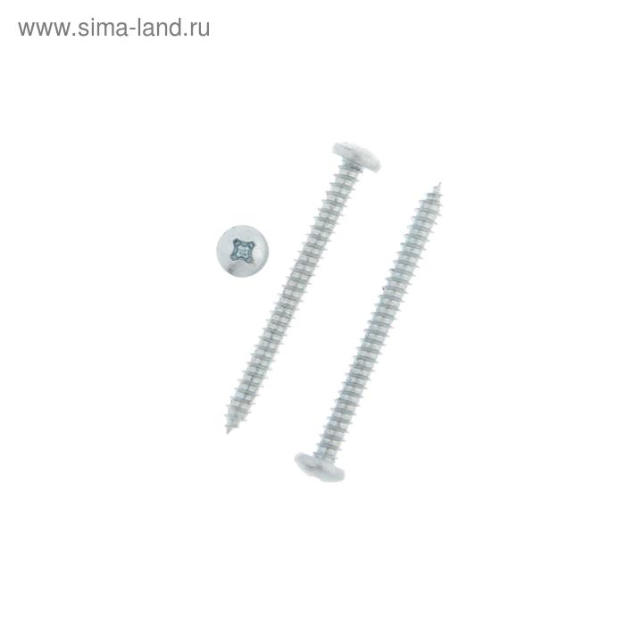 

Саморез DIN7981, 4.2х45 мм, цинк, 500 шт.