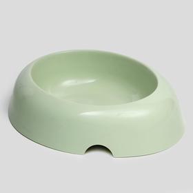 

Миска пластиковая округлая, 20 х 4,5 см, микс цветов