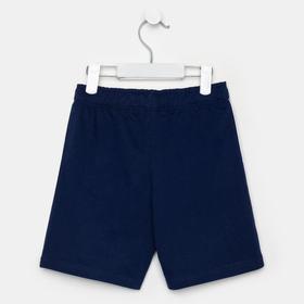 

Шорты для мальчика, цвет микс, рост 116 см (60)