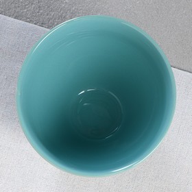 

Миска "Япония", 350 мл, бирюзовая, 1 сорт