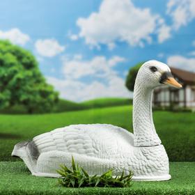 Фигура подсадная 'Лебедь полукорпусной' Ош