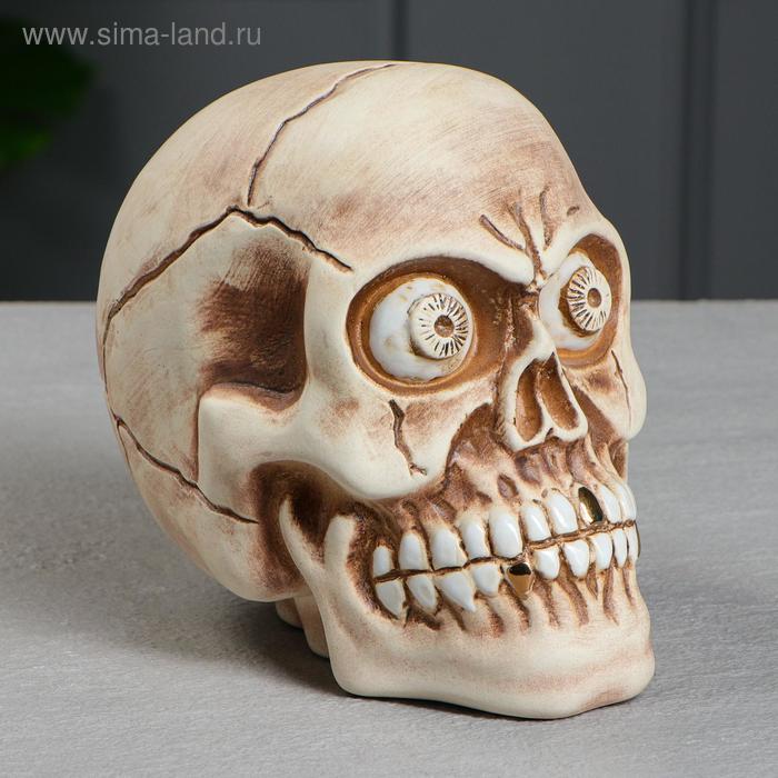 

Копилка "Череп", под шамот, керамика, 16 см, микс