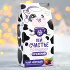 Чай чёрный «Пей счастье»: с апельсином и шоколадом, 50 г