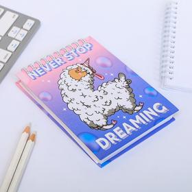 

Скетчбук Never stop dreaming, А6, 80 листов