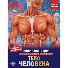 

Энциклопедия «Секреты тела человека», 48 стр.