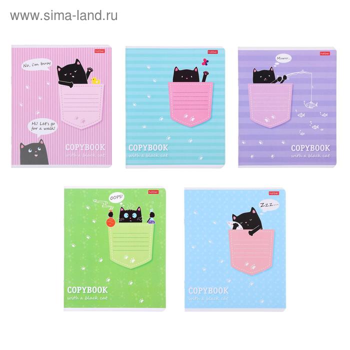 

Тетрадь 12 листов, в клетку, "Котик в кармашке", обложка мелованный картон, блок офсет, МИКС