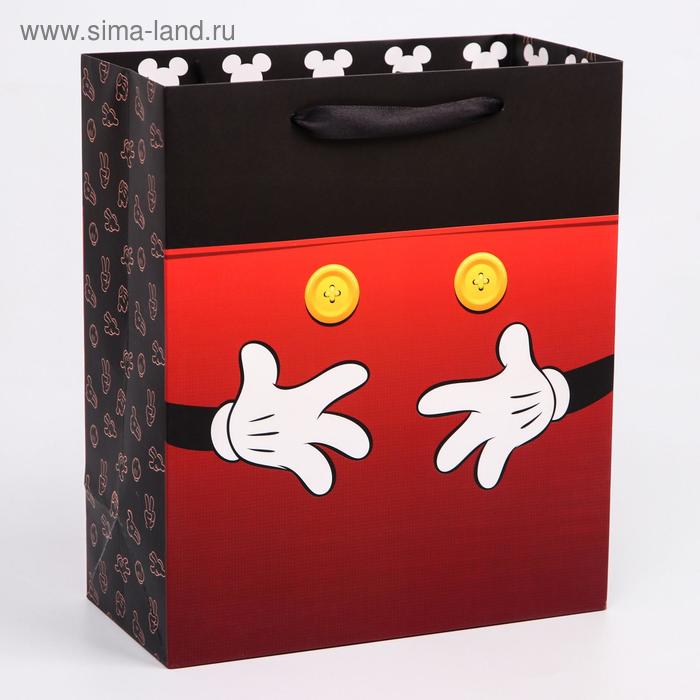 Пакет ламинат вертикальный Микки Микки Маус 23х27х115 см 43₽