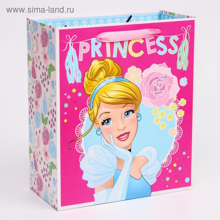 Пакет ламинат вертикальный Princess Принцессы 23х27х115 см 48₽