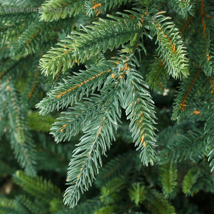 фото Ель искусственная итальянская 2,1 м подставка металл max christmas