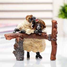 Сувенир полистоун миниатюра 'Свидание овец' 9,5х6х12 см Ош