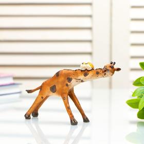 Сувенир полистоун миниатюра 'Жираф с птичками на шее' 9,5х4,5х17 см Ош