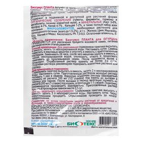 

Планта для огурцов,кабачков, 12гр.