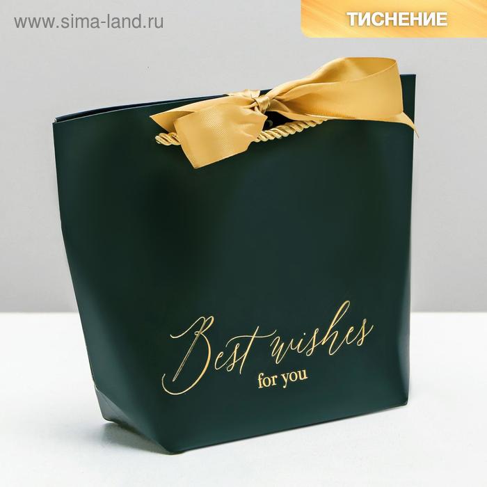 Пакет подарочный, упаковка, Best wishes, 14 х 17 х 7 см пакет подарочный настроение 14 х 17 х 7 см