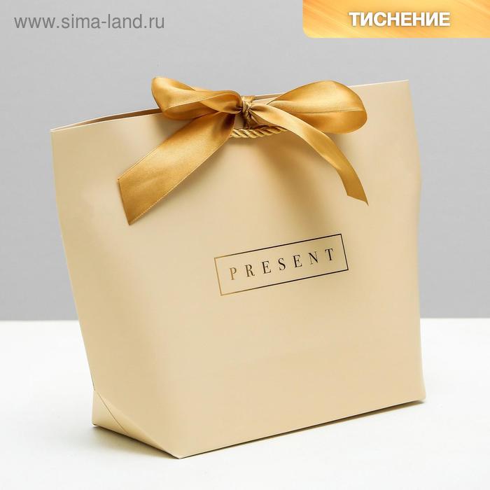 Пакет подарочный, упаковка, Present, 19 х 20 х 9 см