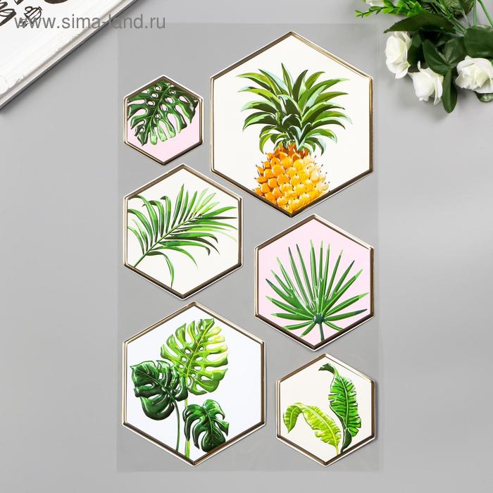 

Объёмные наклейки Room Decor "Тропики" 24х41 см