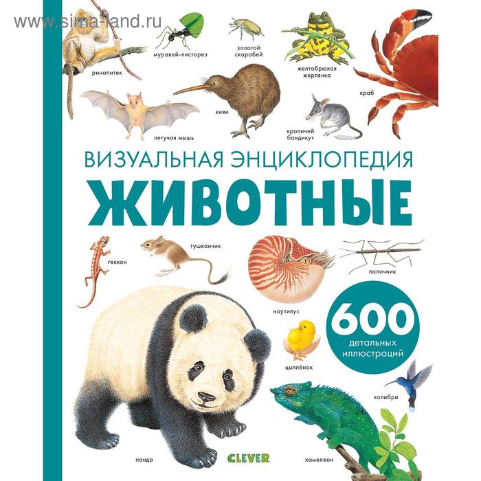 

Любимая детская энциклопедия. Животные. Визуальная энциклопедия. Бадреддин Д.