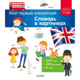 

Мой первый английский. Словарь в картинках