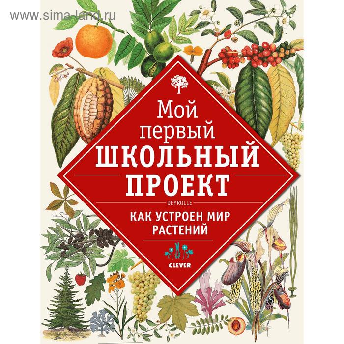 Мой первый школьный проект как устроен мир животных