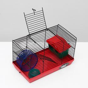 

Клетка-мини для грызунов "Пижон" №2, укомплектованная, 27 х 15 х 16 см,микс