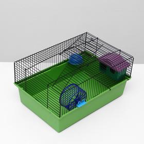 Клетка для грызунов "Пижон" №4, с этажом, укомплектованная, 37 х 26 х 18 см, изумрудная от Сима-ленд